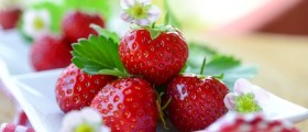 Erdbeeren sind sehr vielfältig. (Quelle: Fotolia)