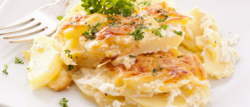 Bild eines Tellers Kartoffelgratin